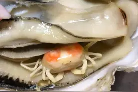 男子买生蚝吃，却在里面发现两只“小可爱”，网友：可遇而不可求图片