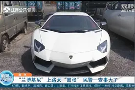无牌“兰博基尼”嚣张闯红灯、压实线 南京民警：走私水车，将报废拆解图片