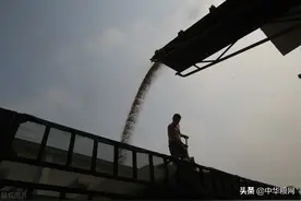 四大粮商全球垄断格局正被打破图片