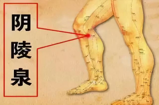比食疗效果大,比吃药更安全!人体的这22个超级穴位,可要记牢了