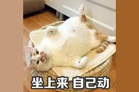 「表情包」坐上来，自己动图片
