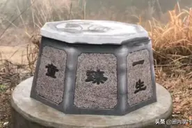 朱小贞看人眼光真不行，自己家境好，偏找个tony林图片