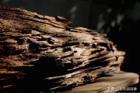 农村这三种木头，别再当柴烧，价格昂贵，有钱难买，收藏价值高图片