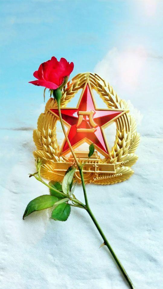 军旅题材徽章手机壁纸,喜欢的自下