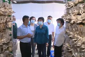 何西庆到保亭调研并给基层党员上党课图片