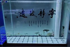 一位鱼友介绍如何培养青苔绿水的方法，很详细、很全面图片