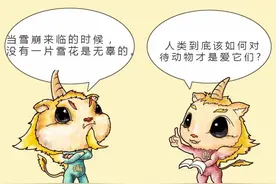小伙卖出两只饲养鹦鹉后涉罪被抓！养鹦鹉获刑不冤？图片