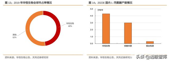 化工行业研究：L-丙氨酸，技术变革催生需求增长，龙头优势显著