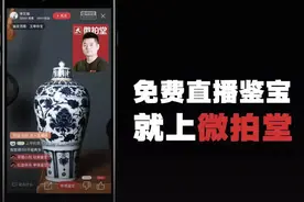 打假“零容忍”微拍堂1至2月关停整改684家平台商户图片