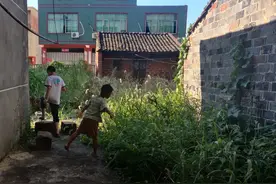 被父母虐待致死的12岁男孩图片