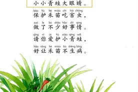 3小(xiǎo)青(qīnɡ)蛙(wā)图片
