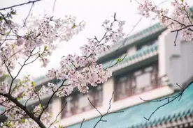 国内男女比例失衡的大学，男生真正的“百里挑一”，想逃课都难图片