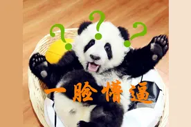 挂在嘴边却不知道的常识｜99%的人都不清楚图片