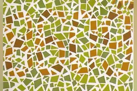 5张色觉测试图，能识别出来几张？是否满足考驾照的条件？图片
