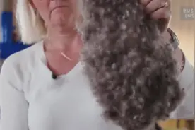 人们把它的窝薅走，拿回去做成产品，上万元一份也有人抢图片