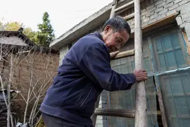 农村三大怪象：地里全种树，房子空气住，汽车全是土，咋回事？图片