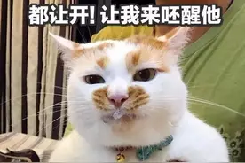 幽默笑话：买一赠二，你娶我闺女，附带我们老两口如何？图片
