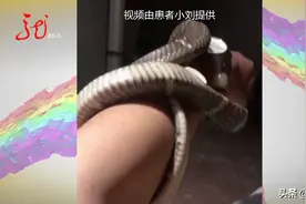 这种宠物也敢养？真是要了命了图片