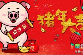 猪年，说猪、话猪票图片
