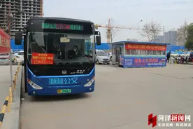 菏泽城际公交开通赏花专线997 方便县区市民来菏赏花图片