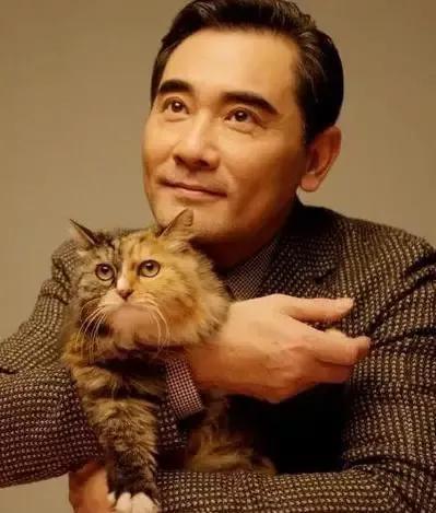 细数祖籍山东的港台明星们，个个盘靓条顺，演技也不遑多让