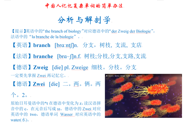 中国人记忆复杂单词的简单办法：分析与解剖学