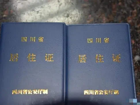 成都各区随迁子女入学办理指南