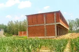 9月土地新规落地，已经占用耕地建房的会被拆吗？分3种情况解决图片