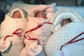 大宝想要个妹妹，宝妈一次生了仨，儿子放学后的场景相当热闹图片