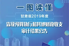 甘肃：审计结果公告图解来啦！图片