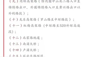 上海限行新政下的可能未来图片