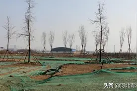 保定自然博物馆新进展！选址已确定！有望打造又一地标式建筑图片