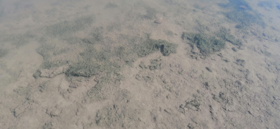 澶╂皵杞噳锛屾睜濉樼殑娉ョ毊寮€濮嬪嚭鐜颁簡