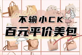 百元平价美包｜颜值不输小ck图片