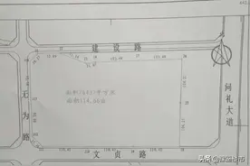 周口鹿邑县城东边2宅地网拍，起始价成交图片