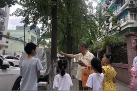 杭州这个社区有排银杏树，背后是一位老人和10棵“树宝宝”的故事图片
