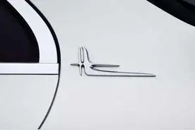 为何唯有国产奔驰有“死鸟”标志，而进口的没有？内行人说出猫腻图片