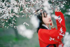 故事：出身名门我当上太子妃，太子登基却只封我为贵妃，空置后位图片