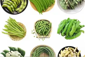 菜豆、豇豆、扁豆、四季豆……强大的豆角家族，它们到底谁是谁？图片