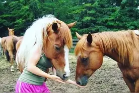 40张看了产生错觉的照片，洗完澡的狗被认成北极熊，藏羚羊头变异图片