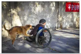 暖心，主人养活狗狗，狗狗帮助残疾主人推车，狗狗：我会一直在图片