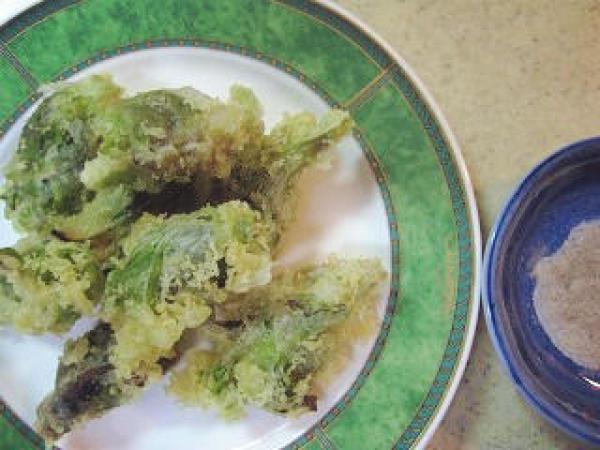 #旅居的N种方式#周末，去8700坪的田舍生活
