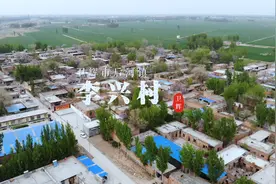 卫辉市后河镇的李兴村，探访天然养蜂，欣赏新风貌图片