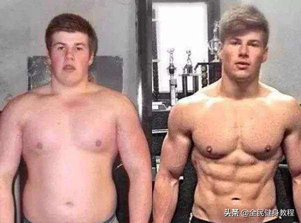 健身吃肌酸练出的肌肉与吃蛋白粉练出的肌肉 有什么不同？