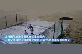 父子俩做科学实验烧毁2000平米草坪，闯完祸就跑【三分钟法治新闻全知道】图片