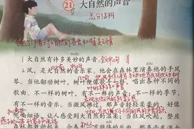 三年级语文上册，第七单元课文笔记分享图片