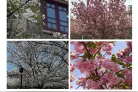 懒人修图，一根曲线调出任意理想色|Snapseed教程5图片