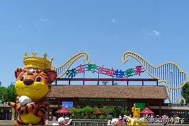 59.9元的济南野生动物园值不值图片