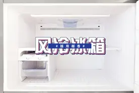 风冷冰箱买回家一个月了：早知道这么好用，我早就把旧冰箱换掉了图片