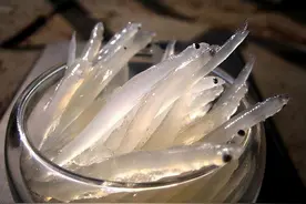 日本人高价抢购的“长寿鱼”，我国产量大还便宜却没人吃，为啥？图片